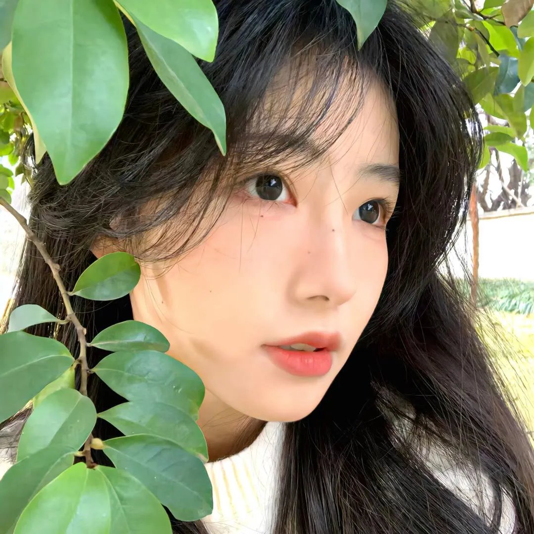 夺命穿心/沉默的进击